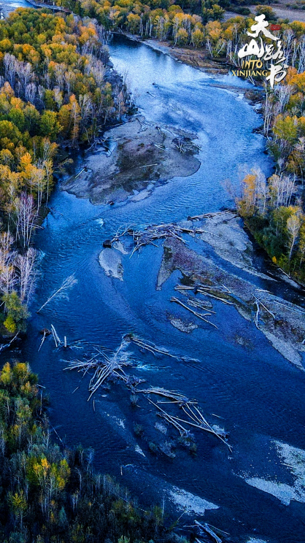 胡楊金、豐收紅、秋實橙……秋日新疆的這些色號,你pick了嗎? 胡楊金、豐收紅、秋實橙……秋日新疆的這些色號,你pick了嗎?