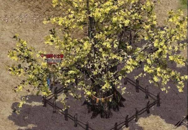 傳奇-新手村中你不知道的哪些小彩蛋 傳奇-新手村中你不知道的哪些小彩蛋