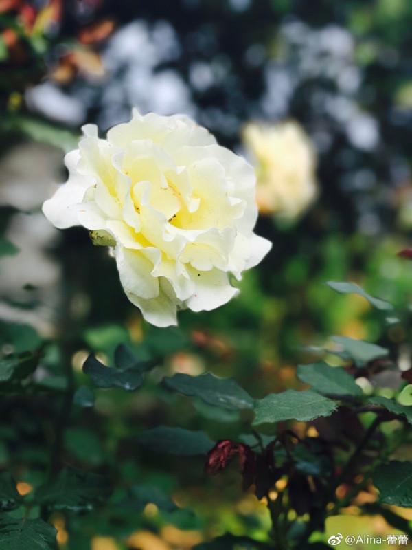 400年不通車！這座漂在水上的古鎮，被遺忘的世外桃源，值得一去