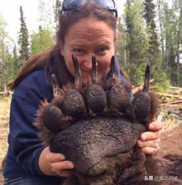 28張關於動物的對比照片,看完又漲知識了 28張關於動物的對比照片,看完又漲知識了