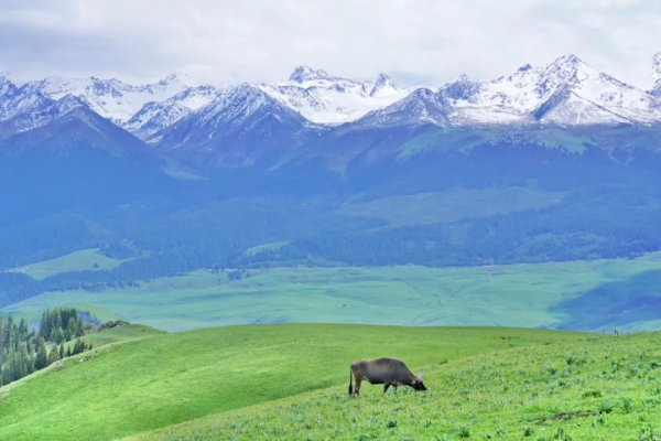 孟克德：金黃暴擊，意外心動