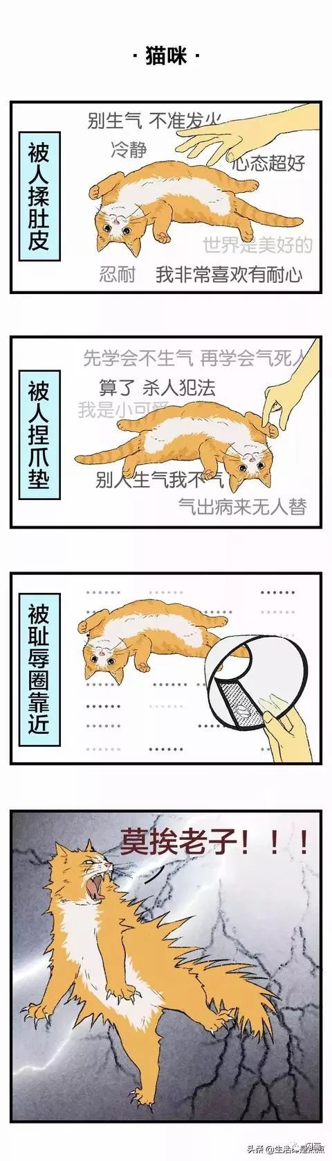 漫畫—《老實人請對號入座!》 漫畫—《老實人請對號入座!》