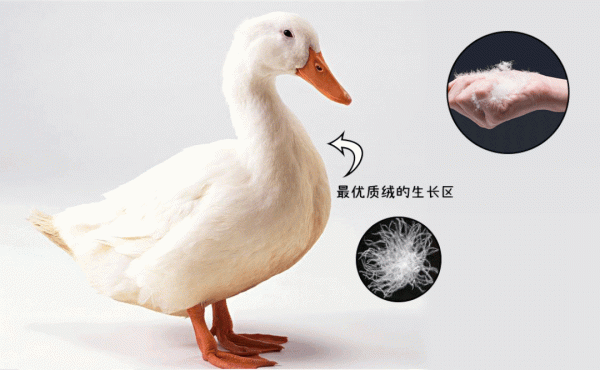 羽絨服的5個穿搭思路,顯瘦又高階 羽絨服的5個穿搭思路,顯瘦又高階