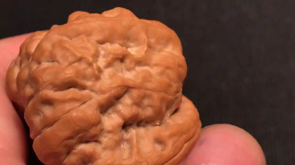 四道雙開背,八面蛤蟆尊 四道雙開背,八面蛤蟆尊