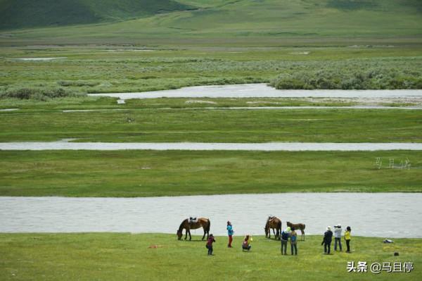 新疆每年僅開放半年的公路，短暫而又驚豔，沿途500公里皆是美景