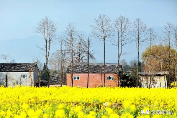 適合兩個人打卡的旅行清單，看完收藏
