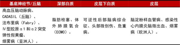 磁共振上出現腦微出血,這11種病因要考慮 磁共振上出現腦微出血,這11種病因要考慮