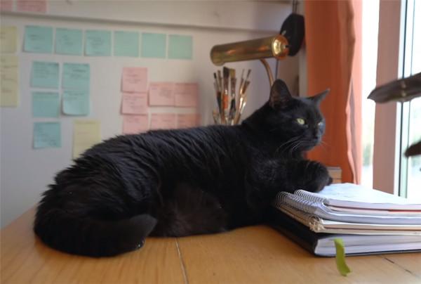 她低價買下10㎡“迷你房”，蝸居日子轉眼已1年，網友：自得其樂