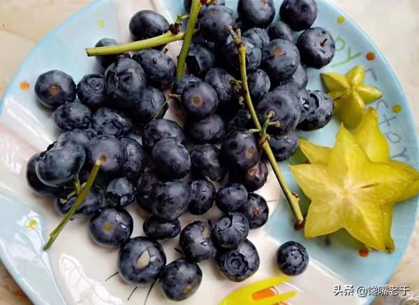 冬季養脾胃，早餐一定要吃好，分享一週七天早餐，簡單易做脾胃好