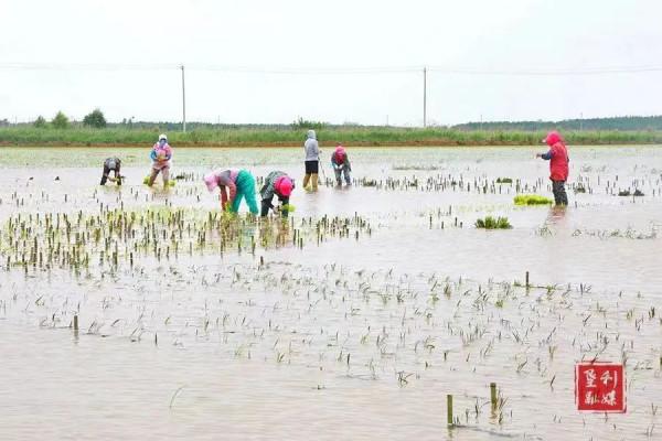 這是山東,東營! 這是山東,東營!