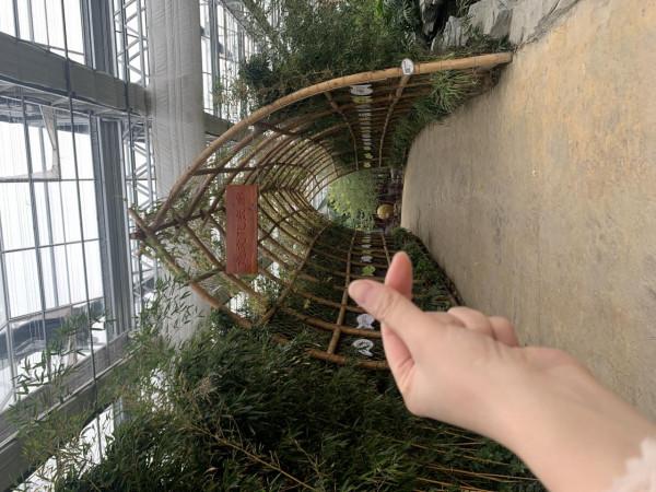 剛發現：金湖有這種好地方，去過一次就忘不了