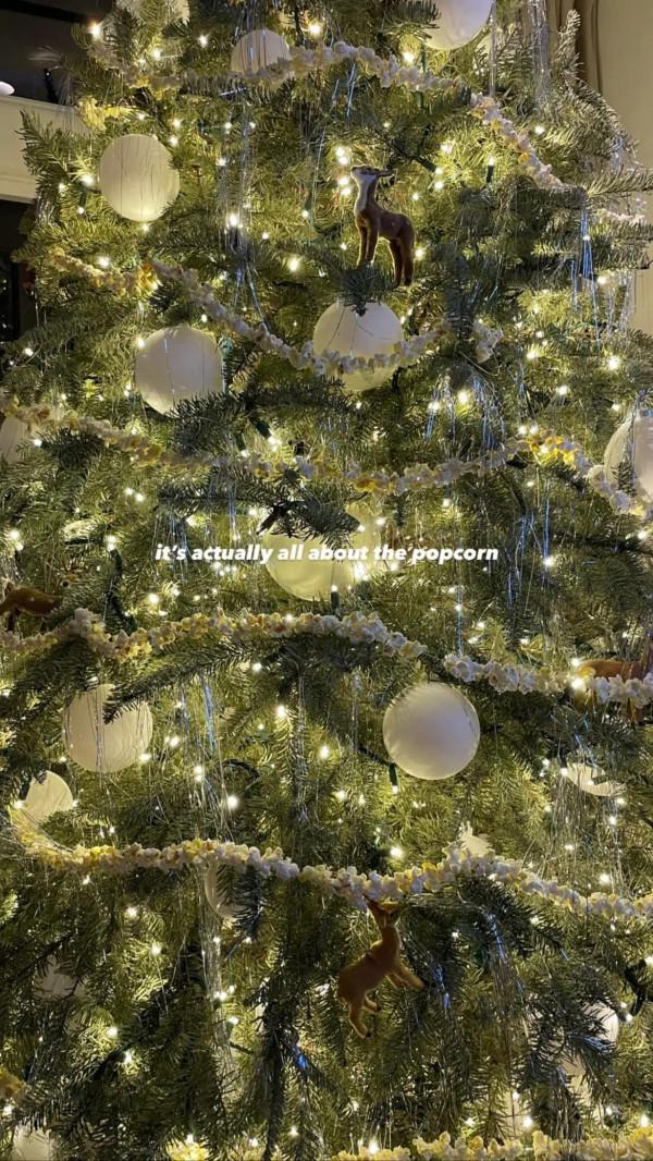 Kendall Jenner聖誕節戰袍奚夢瑤同款Carolina herrera 2021春夏系列