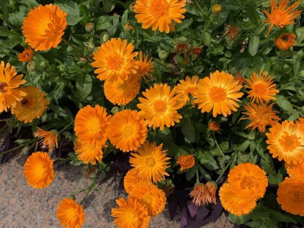 一年四季，這些“絕美”的瞬間你見到了嗎？