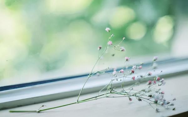 讀書筆記：讀愛默生《論自然》所感