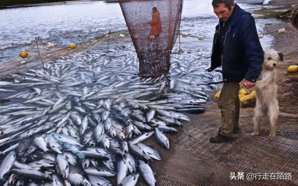 勘察加半島：清廷視為苦寒之地，俄羅斯卻當成寶貝刻意隱瞞