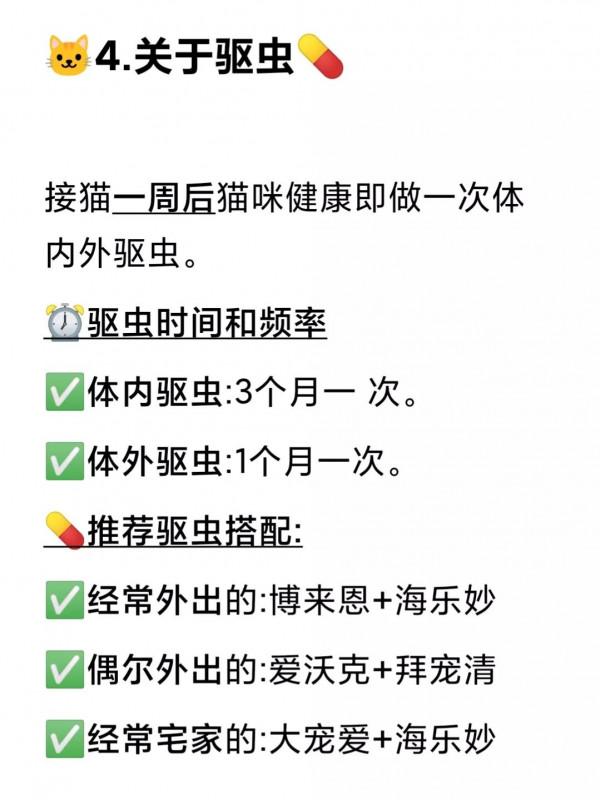 新手如何正確養貓，看這個就夠了