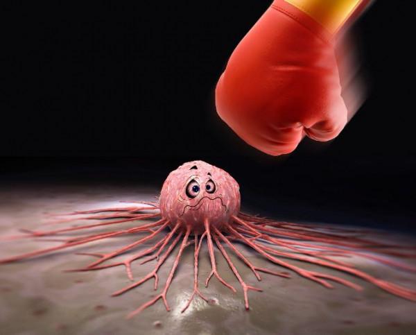 中國的疫苗研發為何會走在世界的前列?醫生解讀:關鍵在大國模式 中國的疫苗研發為何會走在世界的前列?醫生解讀:關鍵在大國模式