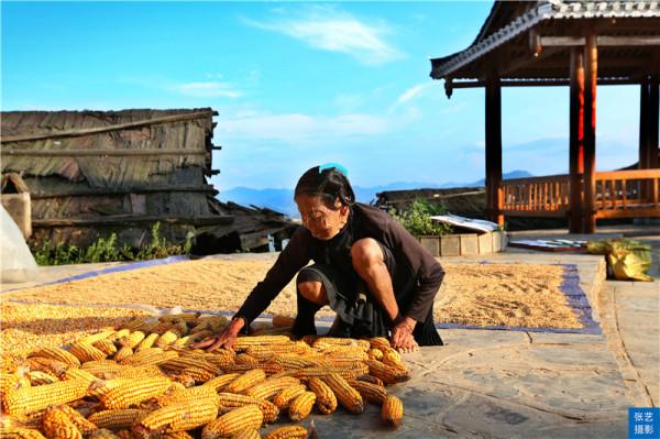 黔東南加榜梯田：《舌尖上的中國》拍攝地，每年的新米節熱鬧非凡