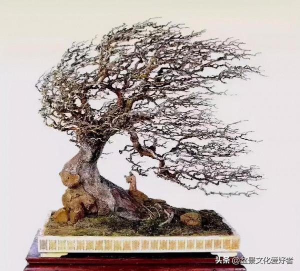 吹出來的盆景，動感十足