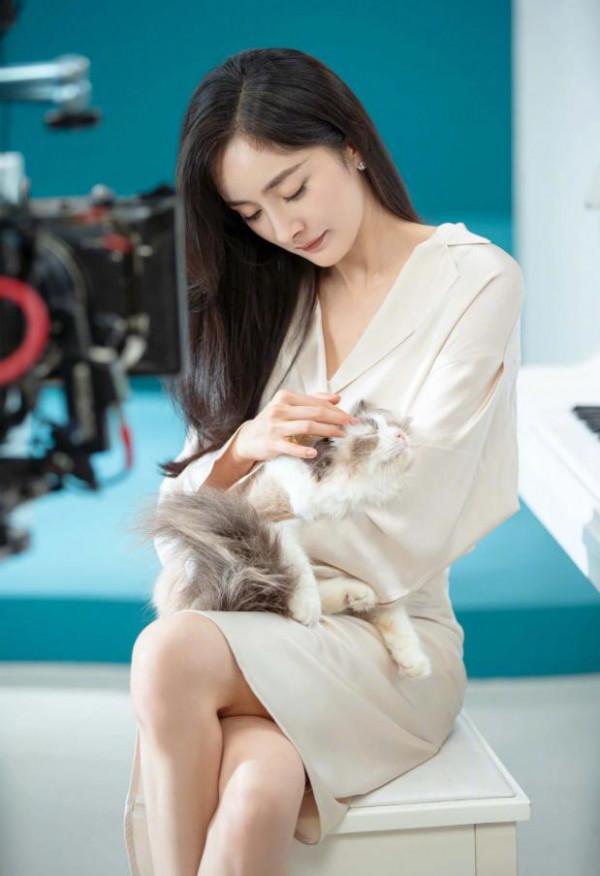 楊冪曬35歲慶生照,復古印花衛衣彰顯溫柔氣質,說是25歲都有人信 楊冪曬35歲慶生照,復古印花衛衣彰顯溫柔氣質,說是25歲都有人信