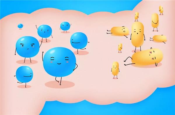 盤點“最嬌氣”的6種狗，耐心不夠，建議別養