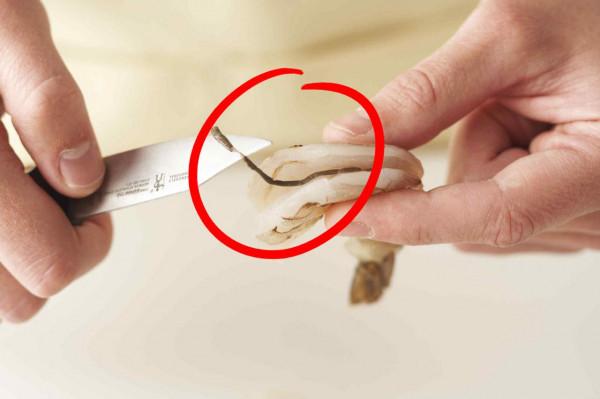 蝦線到底是什麼東西？蝦頭裡的“蝦黃”是蝦屎嗎？真相有點噁心