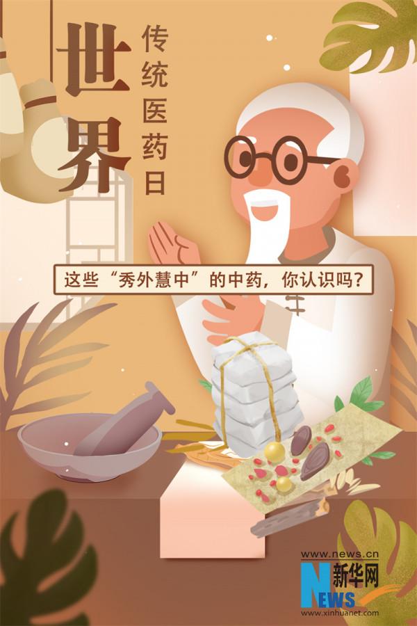 世界傳統醫藥日｜這些“秀外慧中”的中藥，你認識嗎？