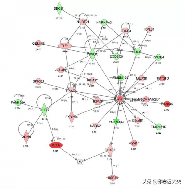 一文解鎖機制研究神器——IPA分析 一文解鎖機制研究神器——IPA分析
