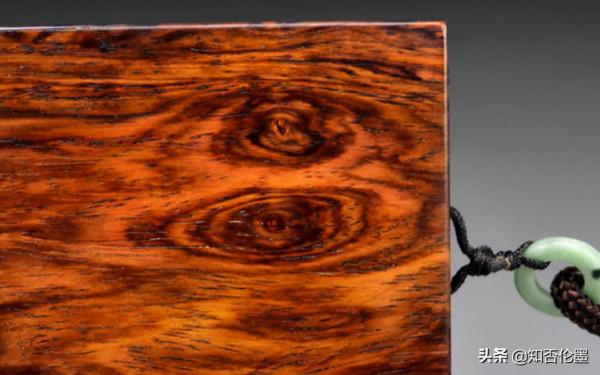 黃花梨木這麼貴,農村為什麼不種植呢?種植戶告訴你答案 黃花梨木這麼貴,農村為什麼不種植呢?種植戶告訴你答案