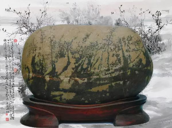 高價成交的66方奇石欣賞