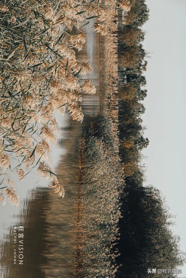 深秋在哪裡 深秋在哪裡