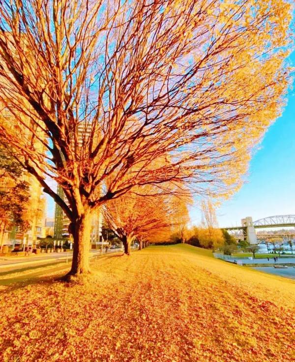 在二八里，做個最真實的那個自己就好