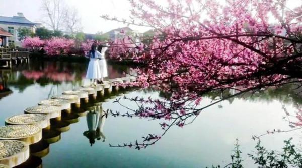 桃花島、桃花山、桃花石、桃花峪、桃花潭&hellip;&hellip;我們進入了桃花陣