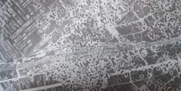 1945年日本投降，歷史真實照片