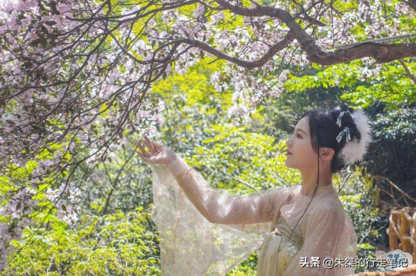 隱匿在浙江的“陽光沙灘”，個個別具一格，更是城市中難得一見