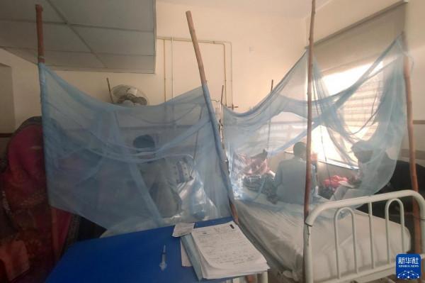 伊斯蘭堡登革熱病例數持續上升