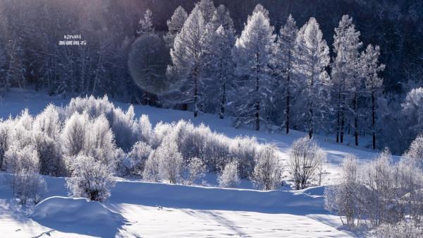 這些景點太治癒了，看完心情好了10000倍