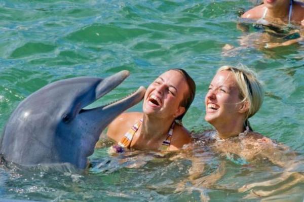 80個神奇照片，最早的鼻罩，比小鎮還大的巨輪，打獵的精美裝備