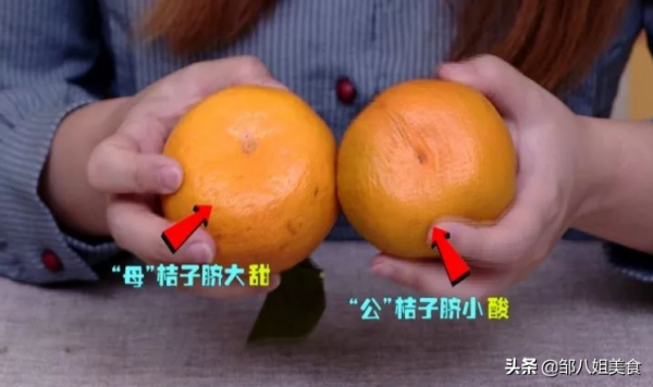 買橘子,記得選“母”的!掌握4個技巧,橘子皮薄甜度高,汁水多 買橘子,記得選“母”的!掌握4個技巧,橘子皮薄甜度高,汁水多
