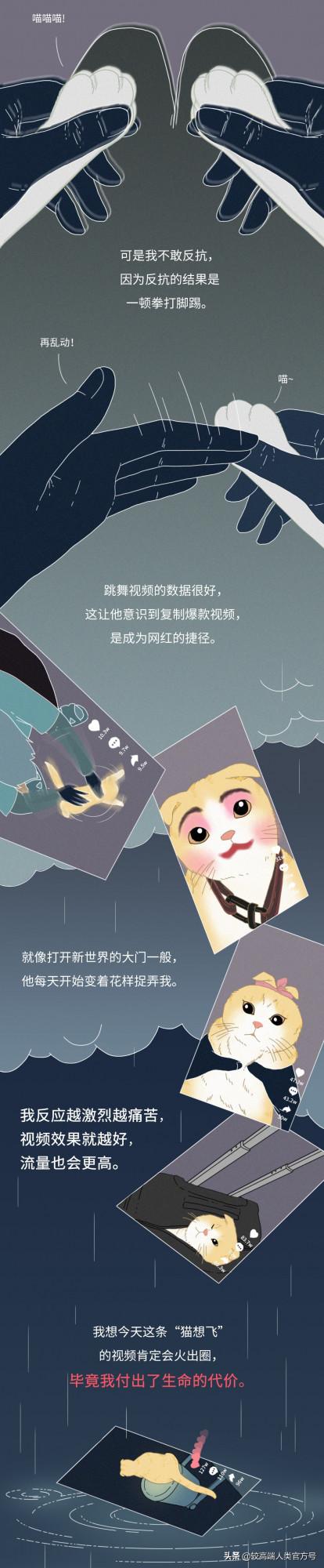 要遭受多少虐待,才能成為一隻網紅貓? 要遭受多少虐待,才能成為一隻網紅貓?