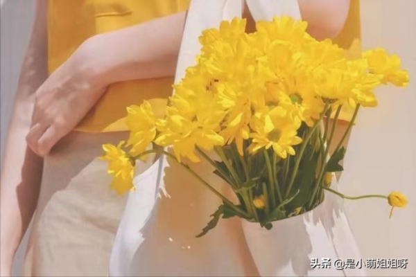 關於掙錢，你需要知道的8個真相