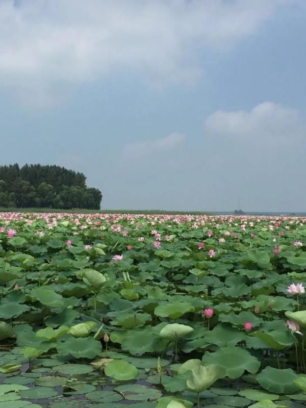 中國不為人知的二十個湖泊(三) 中國不為人知的二十個湖泊(三)