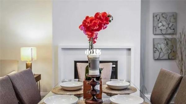 多倫多列治文山 帶電梯三層鎮屋 兩年新