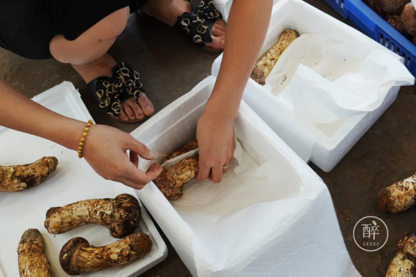 1小時飛攏的城市,有全國最好逛的市場 1小時飛攏的城市,有全國最好逛的市場