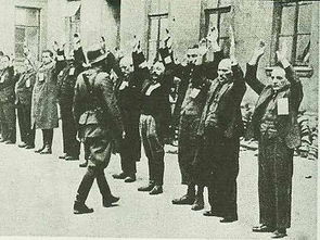 除了警犬，你知道棕熊和貓，也曾是戰場上的一員嗎？