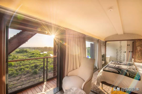 非洲自然界酒店