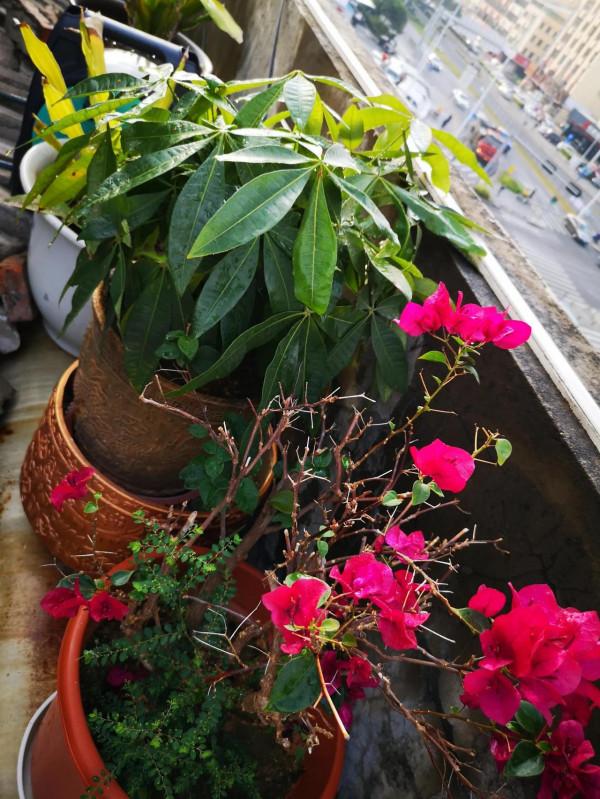 用愛滋養，展現其風采