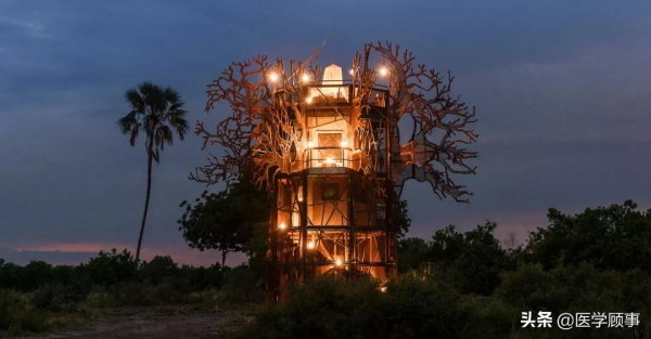 非洲自然界酒店