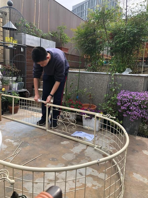 《造園日記》——花拱門