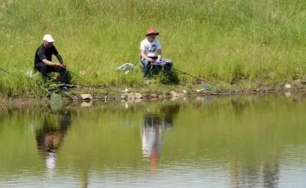 早中晚秋釣魚好時辰大總結,或許明天就能爆護 早中晚秋釣魚好時辰大總結,或許明天就能爆護